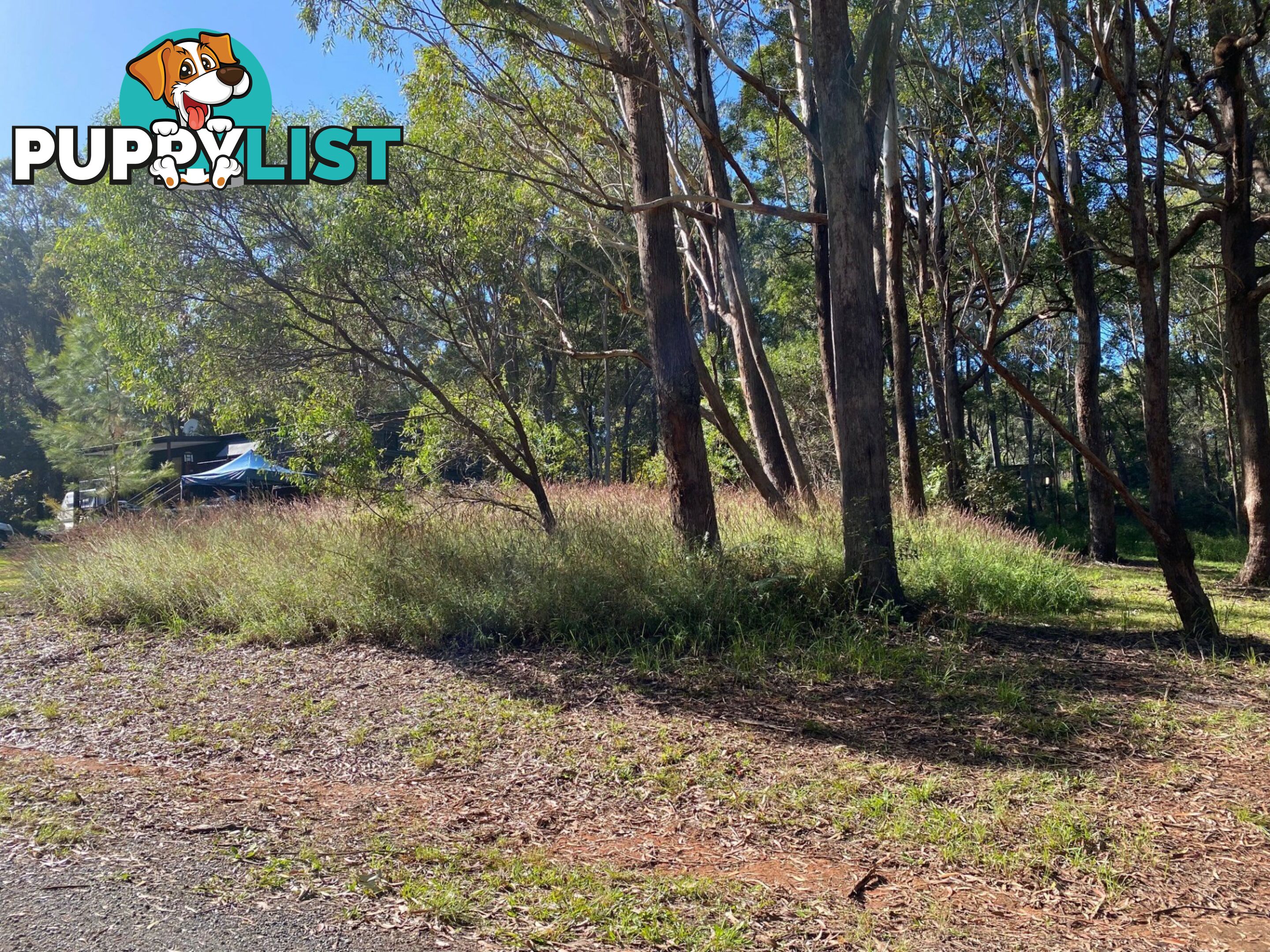 14 BLAXLAND RUSSELL ISLAND QLD 4184
