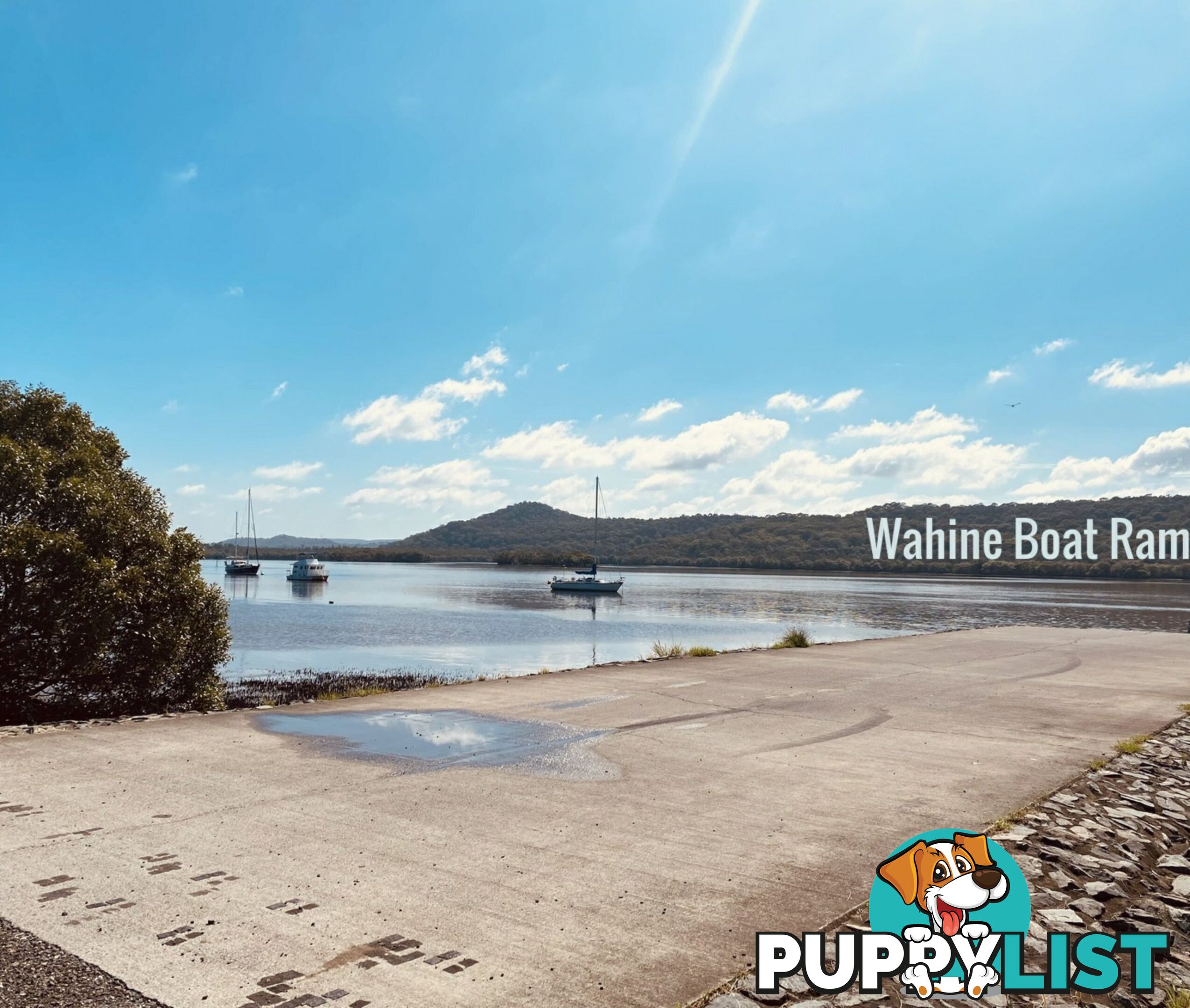 8 Coleus Street RUSSELL ISLAND QLD 4184