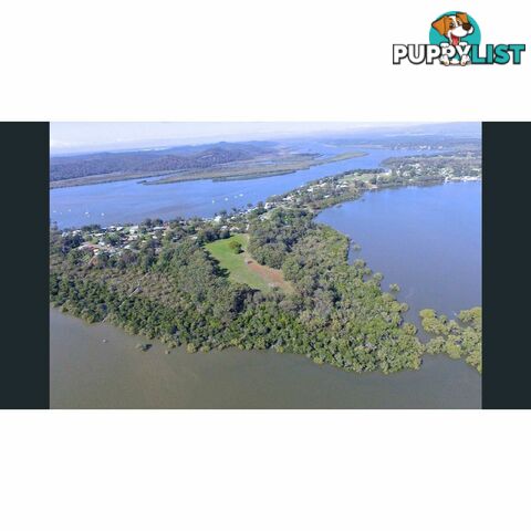 1 Wright Street RUSSELL ISLAND QLD 4184