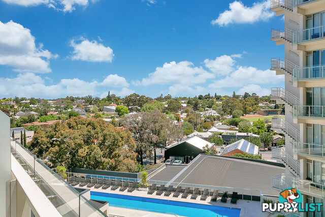 513/33 Warwick Street WALKERVILLE SA 5081