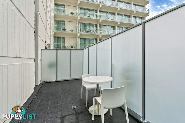 113/33 Warwick Street WALKERVILLE SA 5081