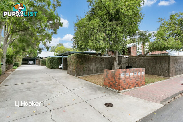 1/4 Carey Street MAGILL SA 5072