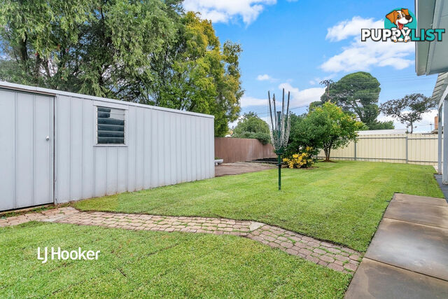 42 Tallack Street WINDSOR GARDENS SA 5087