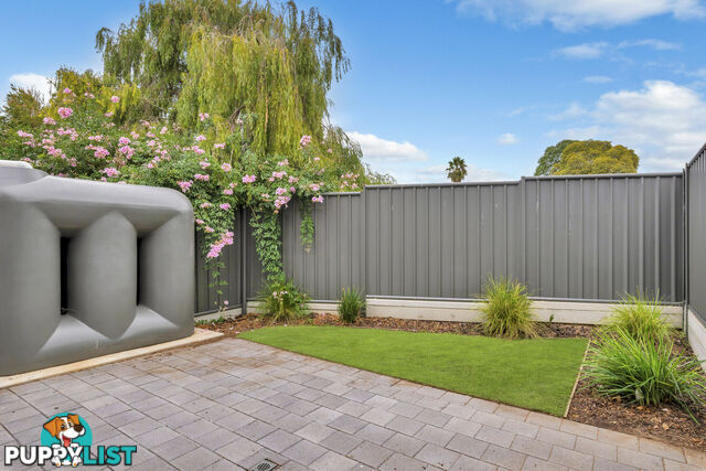 20 Symonds Crescent MODBURY NORTH SA 5092