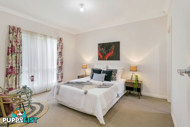 2A Stock Avenue CAMPBELLTOWN SA 5074