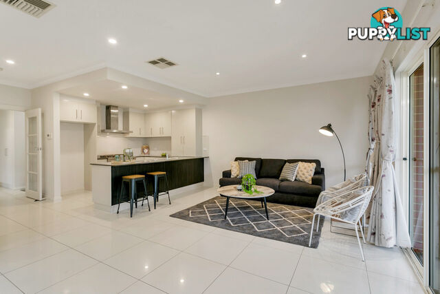 2A Stock Avenue CAMPBELLTOWN SA 5074