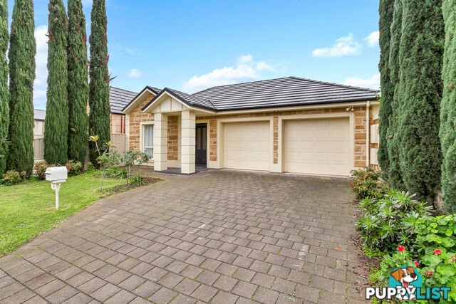 2A Stock Avenue CAMPBELLTOWN SA 5074