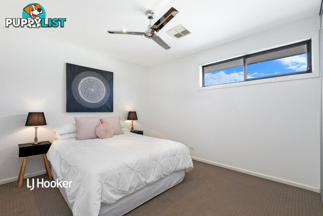 11 Caswell Circuit MAWSON LAKES SA 5095