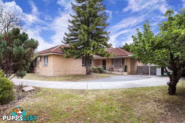 14 Morawa Avenue GILLES PLAINS SA 5086