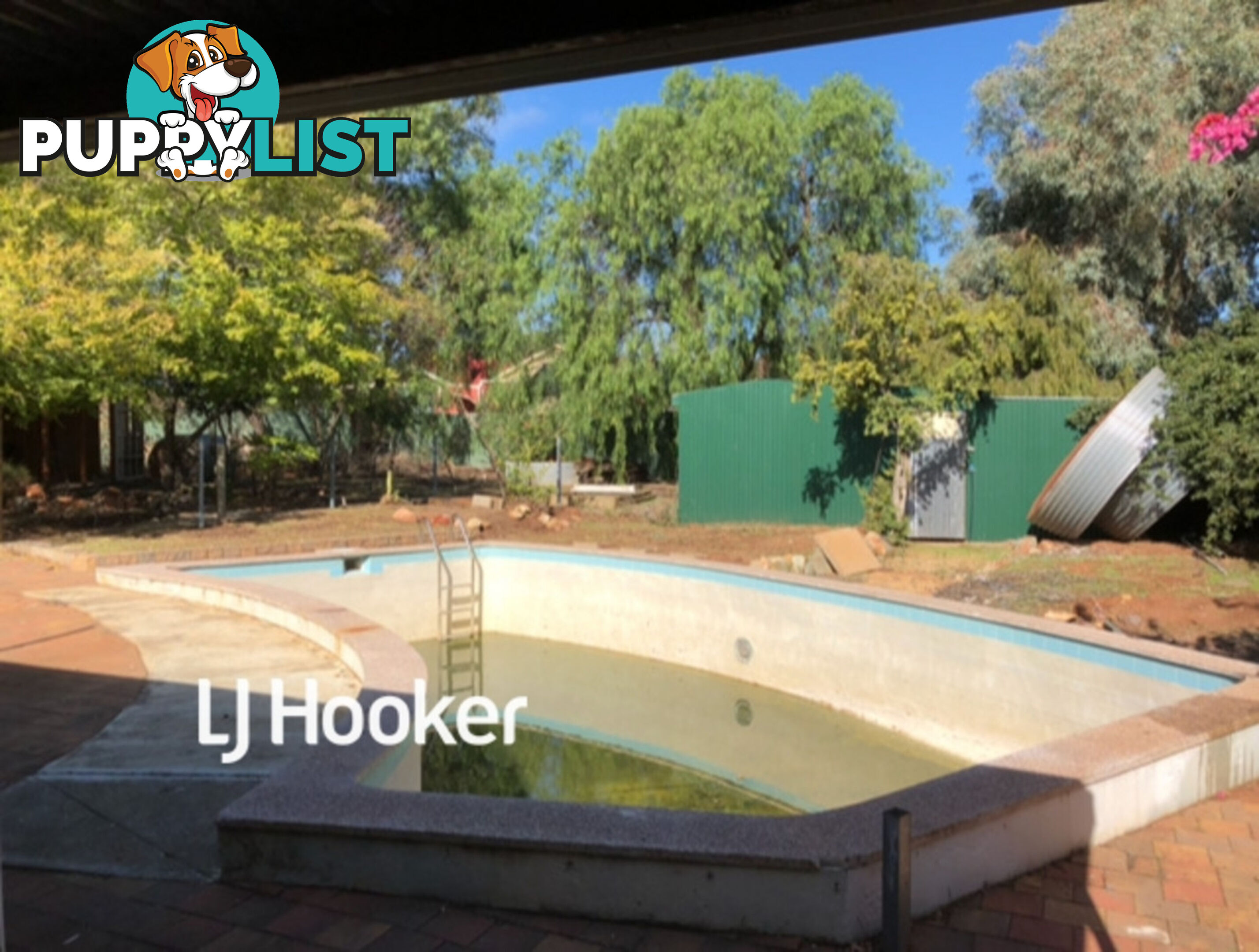 42 Peacock Road ELIZABETH DOWNS SA 5113