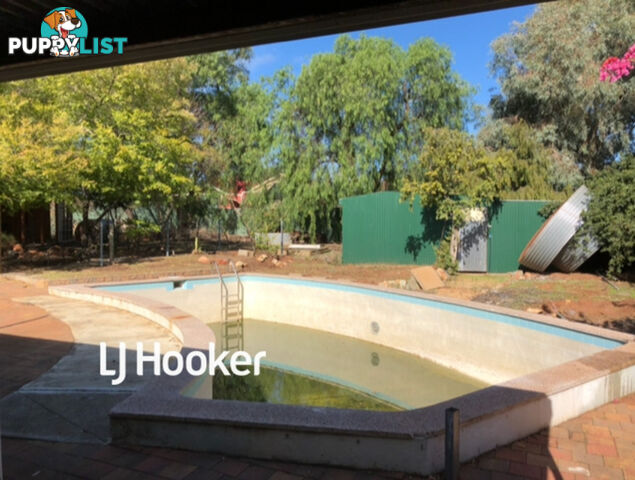 42 Peacock Road ELIZABETH DOWNS SA 5113