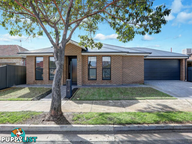 2A Morlei Avenue CROYDON PARK SA 5008