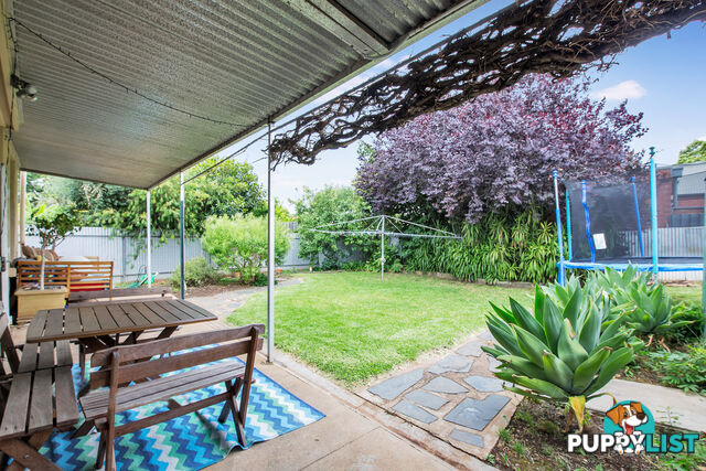 69 William Street NORWOOD SA 5067