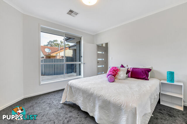 38b Baloo Street INGLE FARM SA 5098