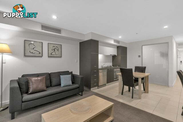 1105/96 North Terrace ADELAIDE SA 5000