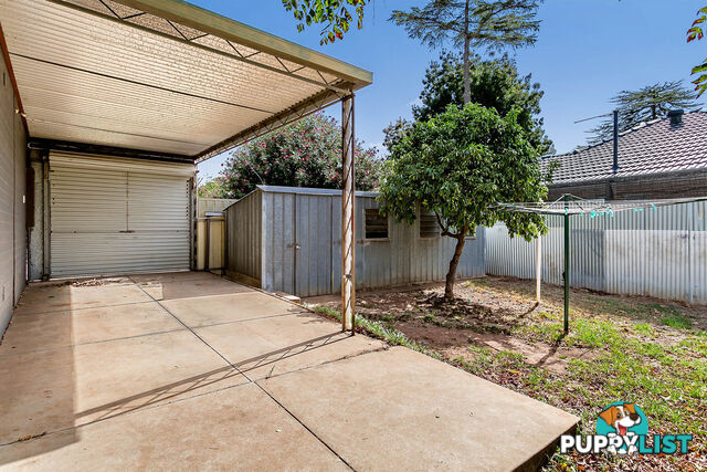 1 Canna Avenue MODBURY SA 5092