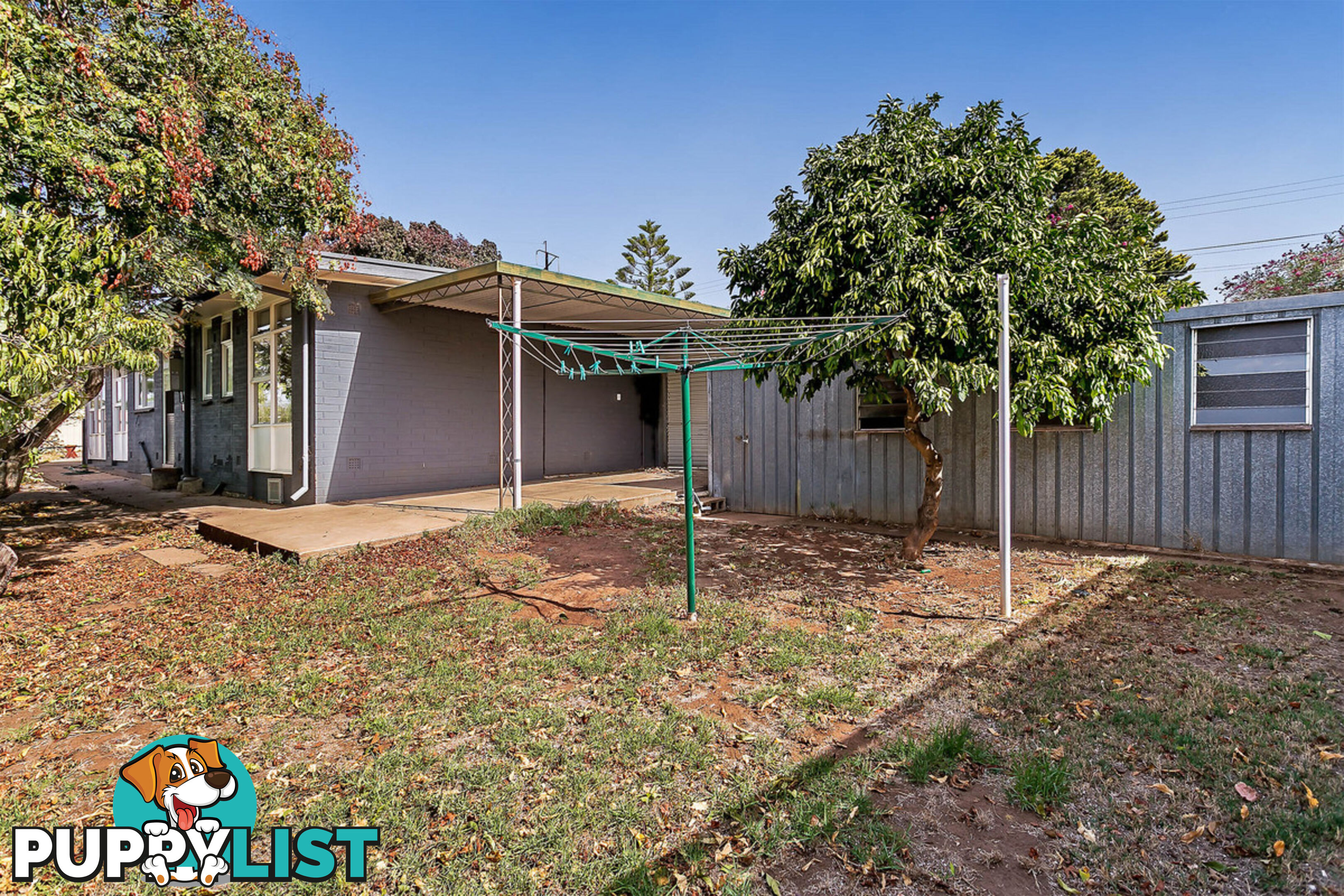 1 Canna Avenue MODBURY SA 5092