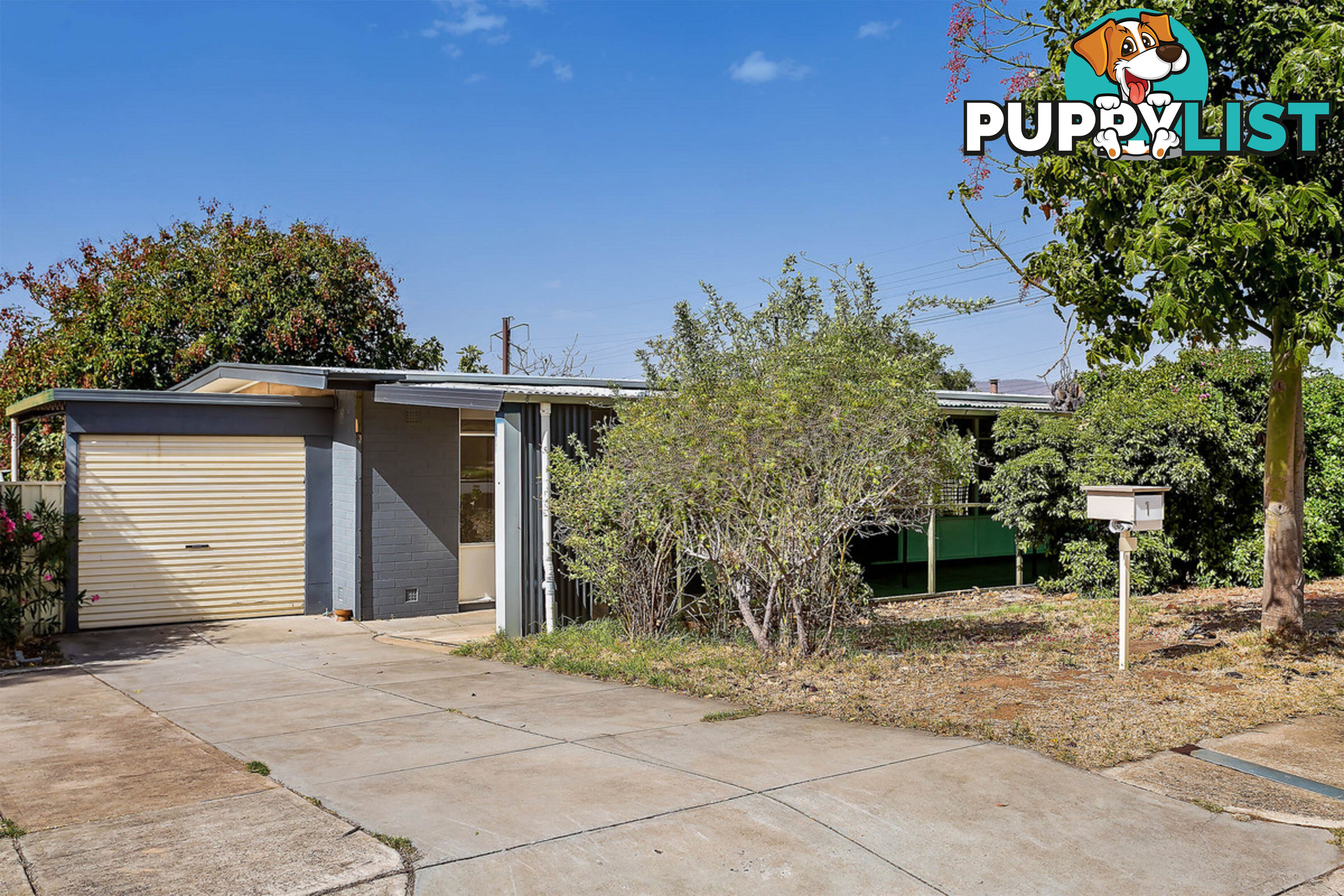 1 Canna Avenue MODBURY SA 5092