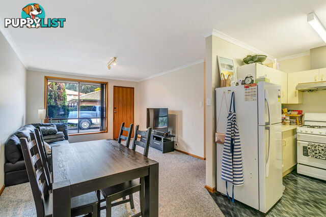 13/8 Harrison Avenue MODBURY SA 5092