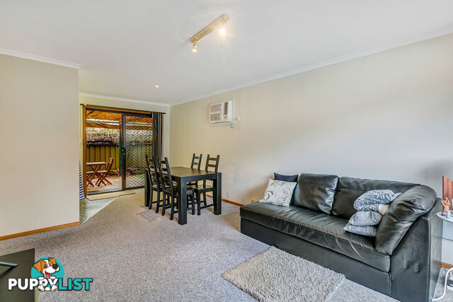 13/8 Harrison Avenue MODBURY SA 5092