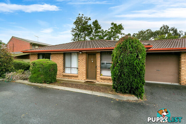 13/8 Harrison Avenue MODBURY SA 5092