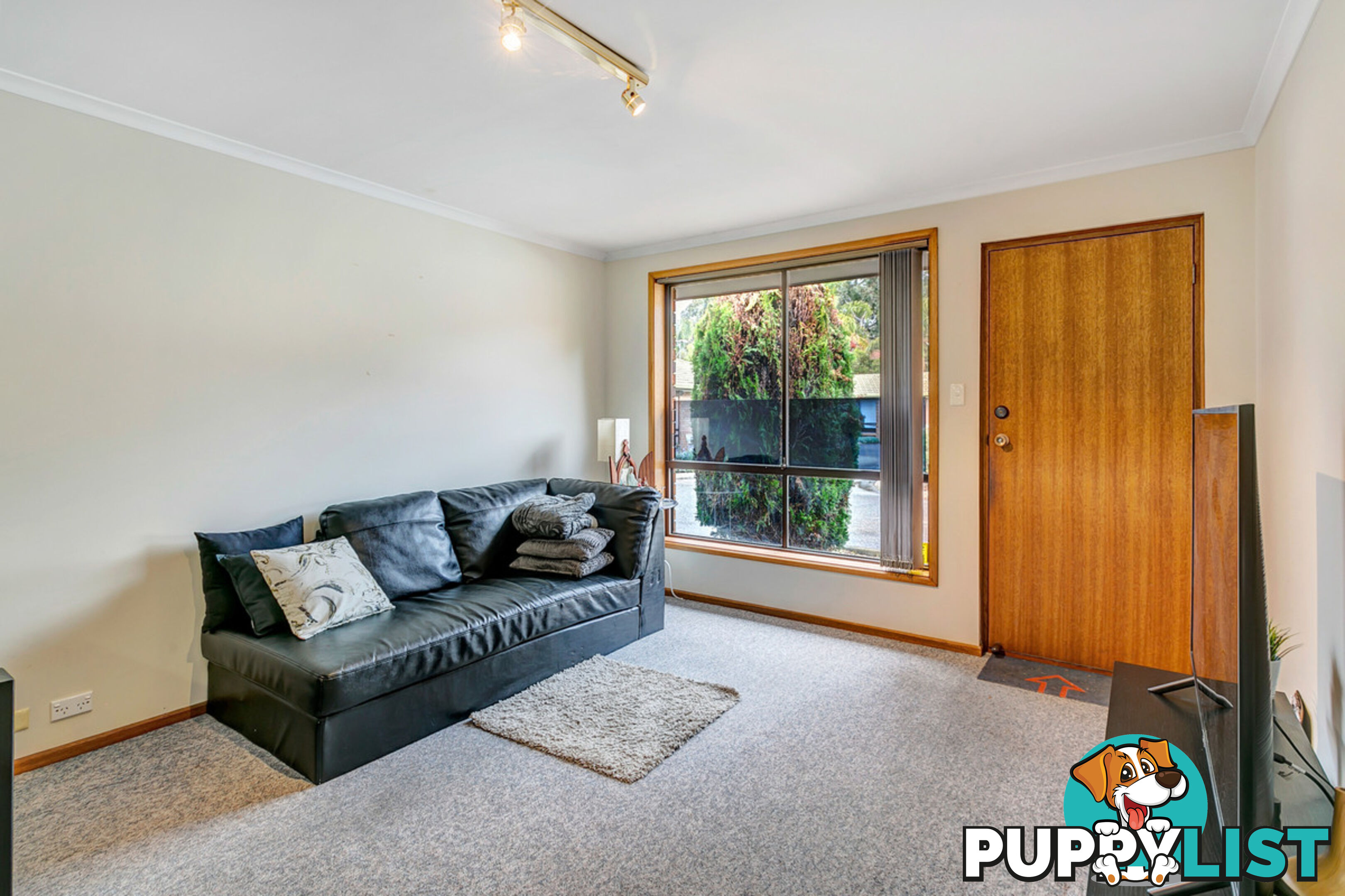 13/8 Harrison Avenue MODBURY SA 5092