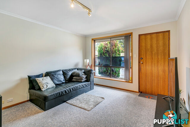 13/8 Harrison Avenue MODBURY SA 5092