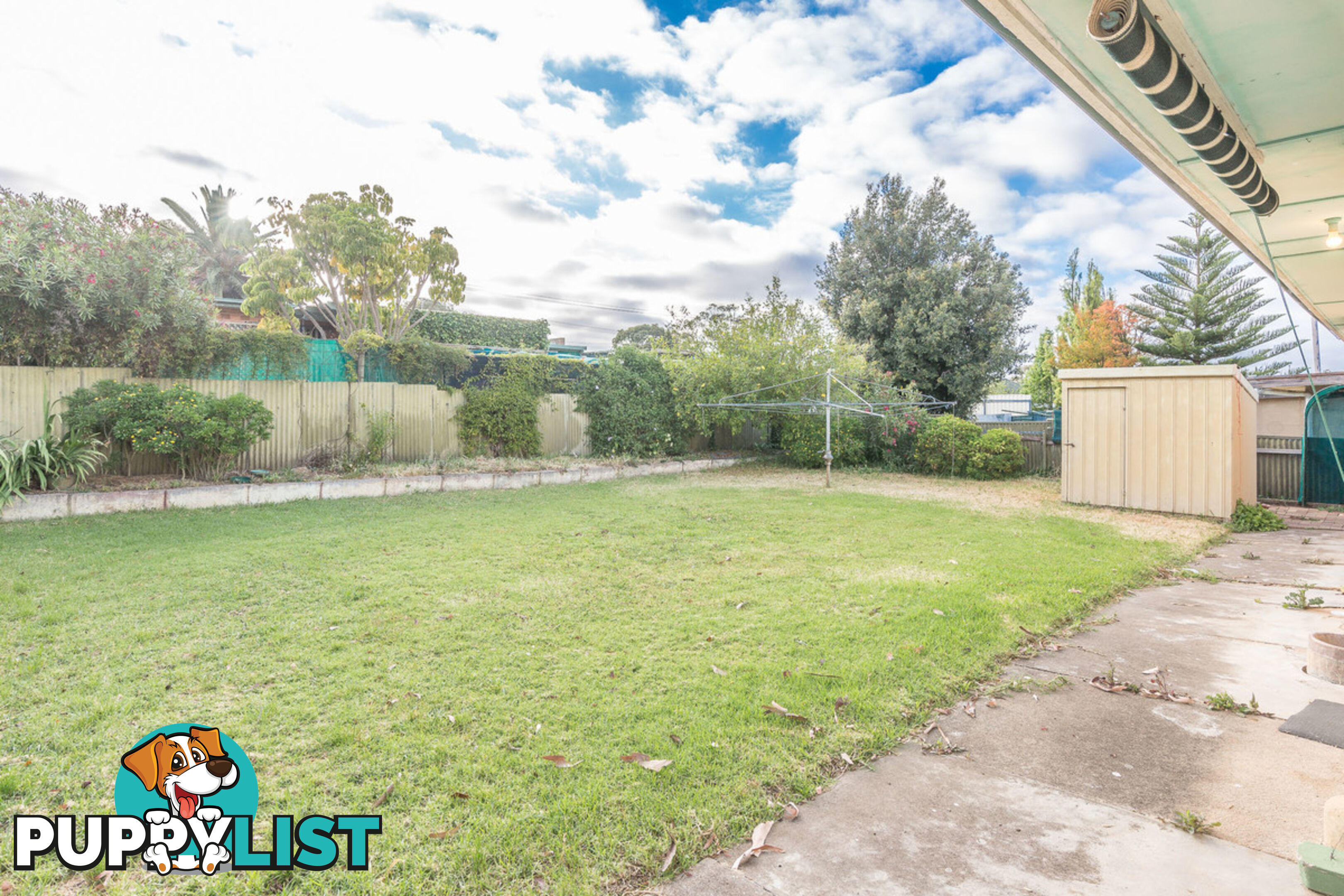 11 Eileen Street MODBURY SA 5092