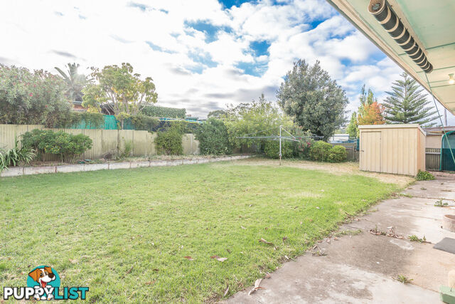 11 Eileen Street MODBURY SA 5092