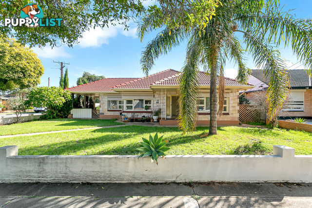 7 Grampian Street WOODVILLE SOUTH SA 5011