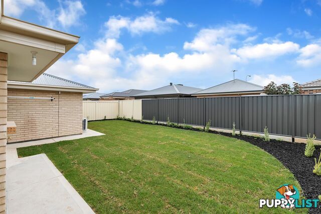 31 Clare Mews MUNNO PARA WEST SA 5115