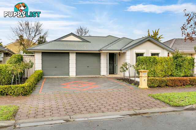 3 Seymour Avenue WINDSOR GARDENS SA 5087