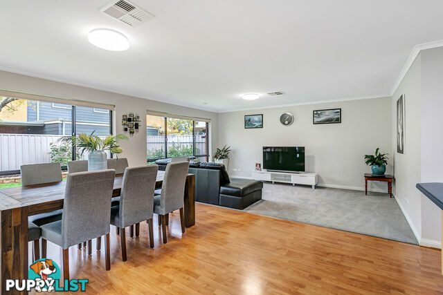 3 Seymour Avenue WINDSOR GARDENS SA 5087