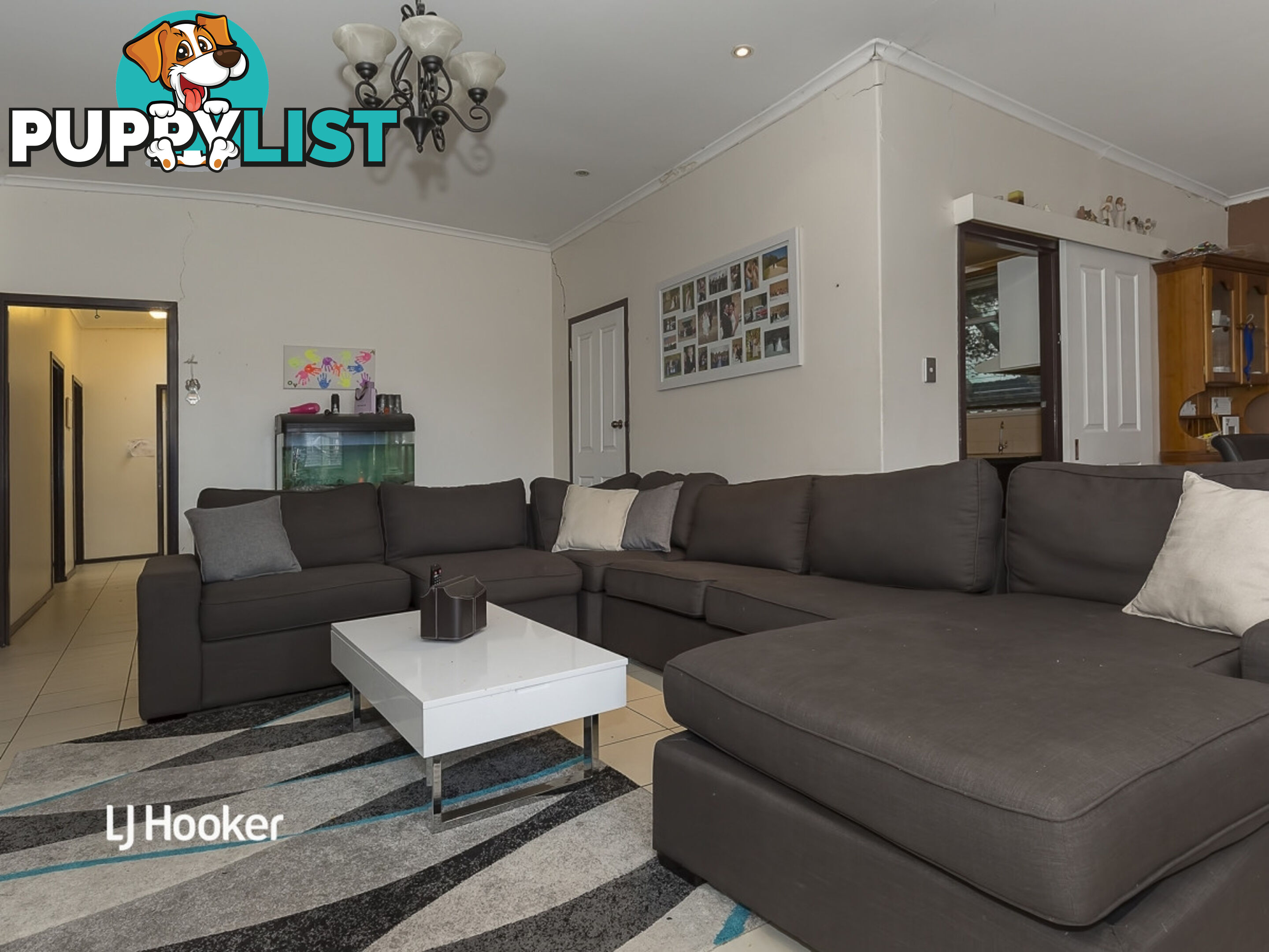 20 Horatio Street MODBURY SA 5092