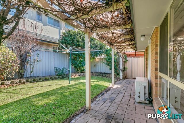 51 Patricia Avenue HILLCREST SA 5086