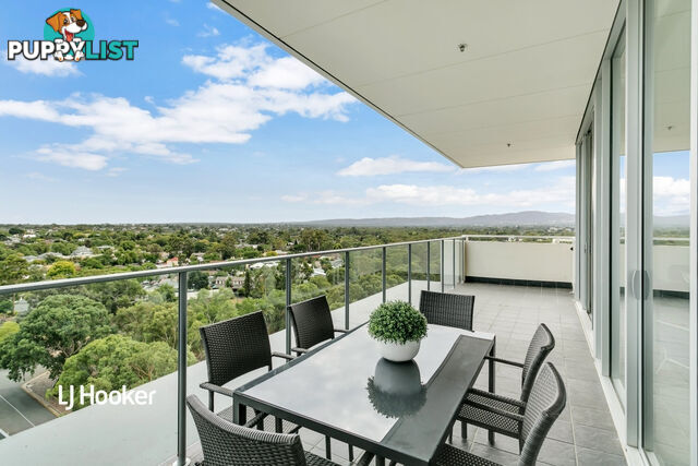 907/33 Warwick Street WALKERVILLE SA 5081