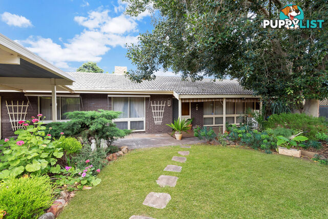 4 Packers Drive HIGHBURY SA 5089