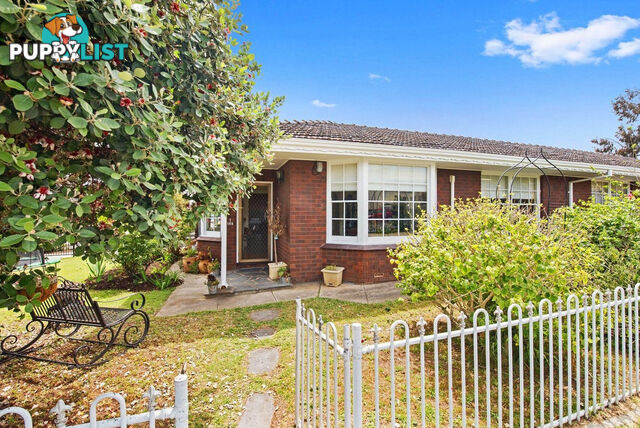 1/155 St Bernards Road ROSTREVOR SA 5073