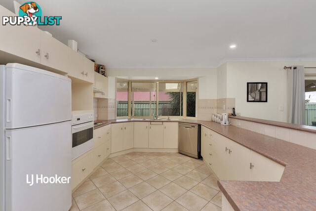 6 Avenger Place WALKLEY HEIGHTS SA 5098