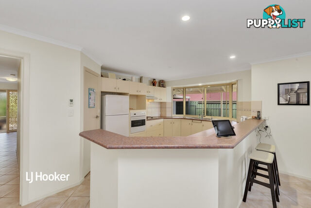 6 Avenger Place WALKLEY HEIGHTS SA 5098