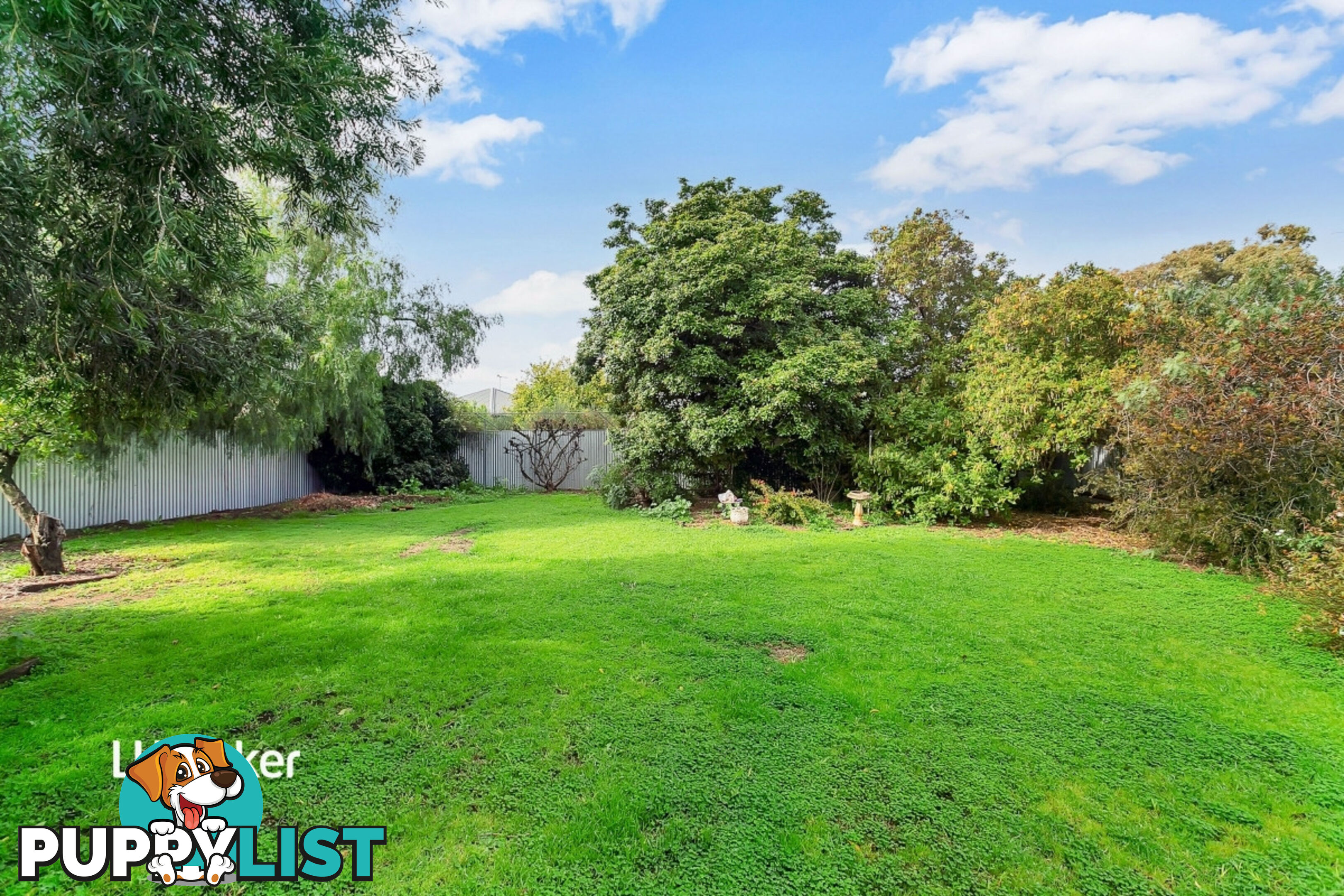 15 Hillburn Avenue WINDSOR GARDENS SA 5087