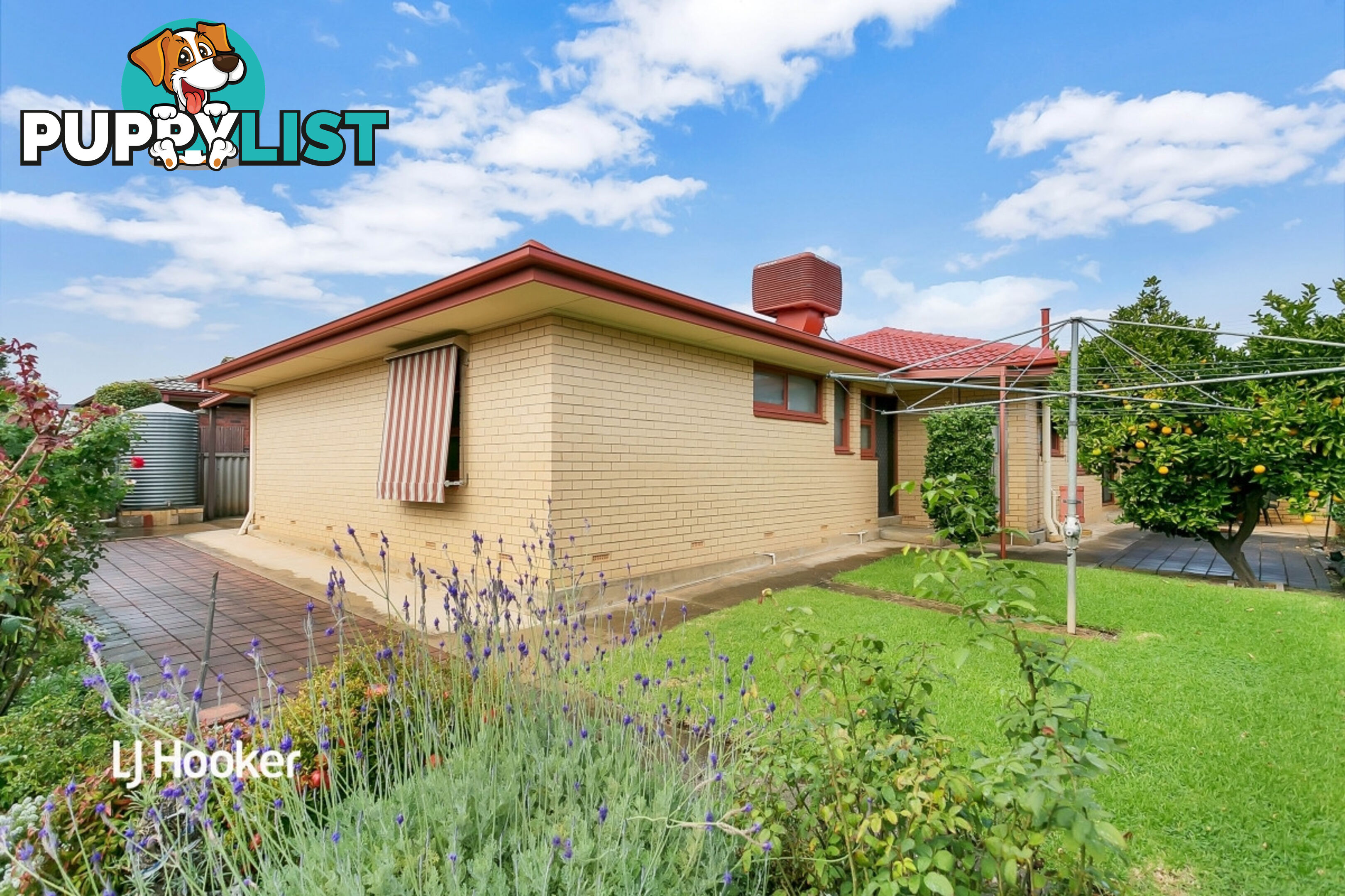 6 Pitcairn Avenue MARION SA 5043