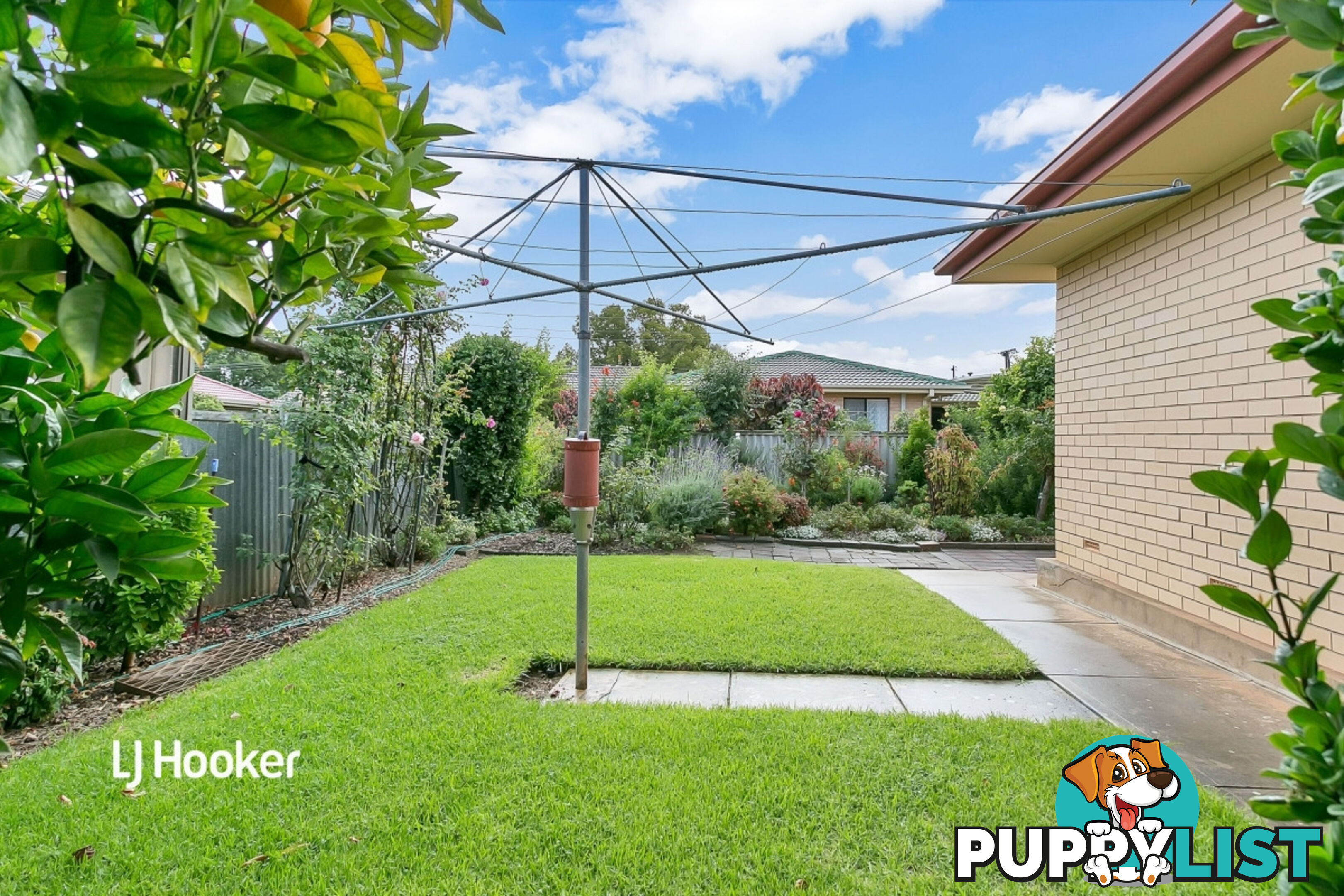 6 Pitcairn Avenue MARION SA 5043