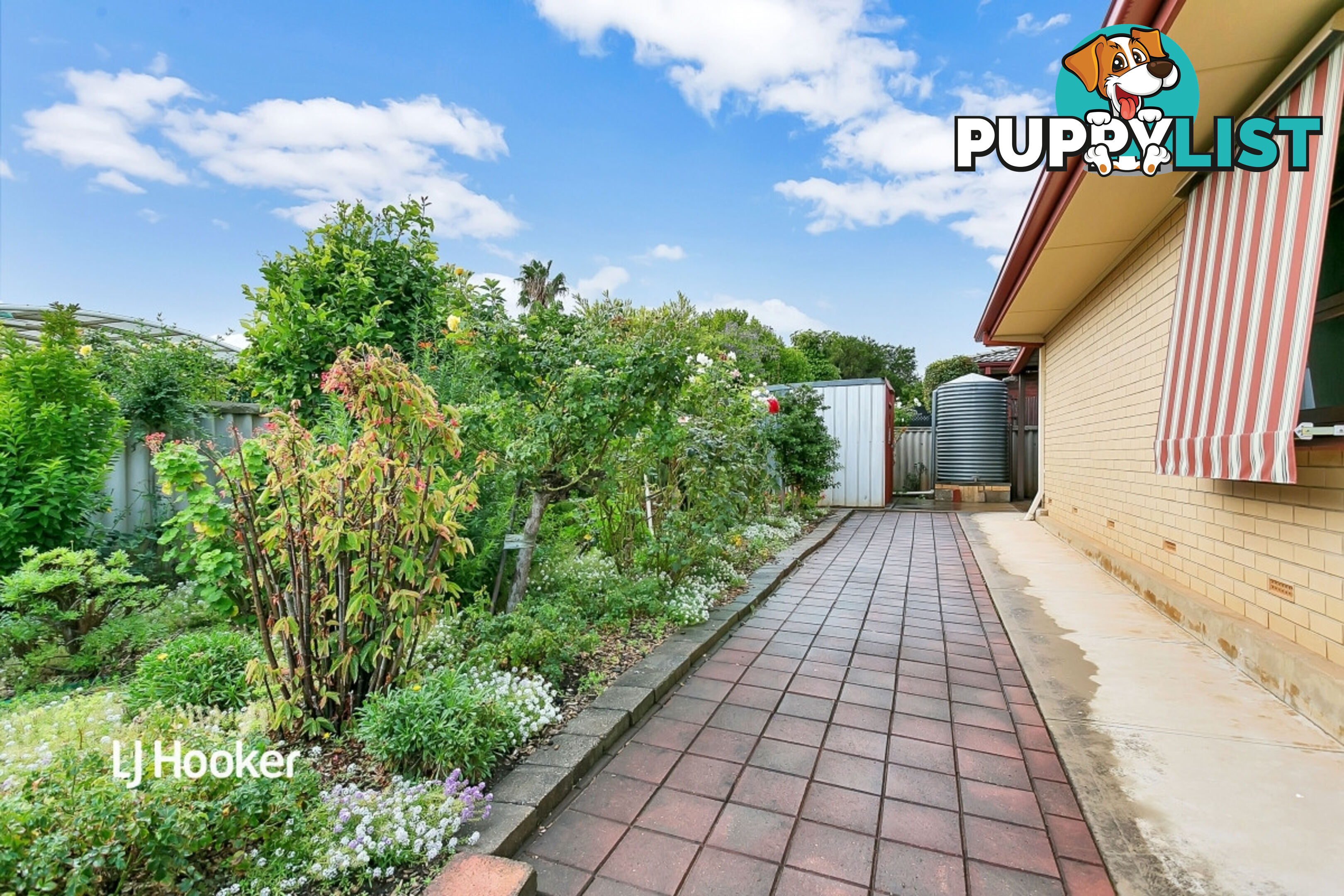 6 Pitcairn Avenue MARION SA 5043