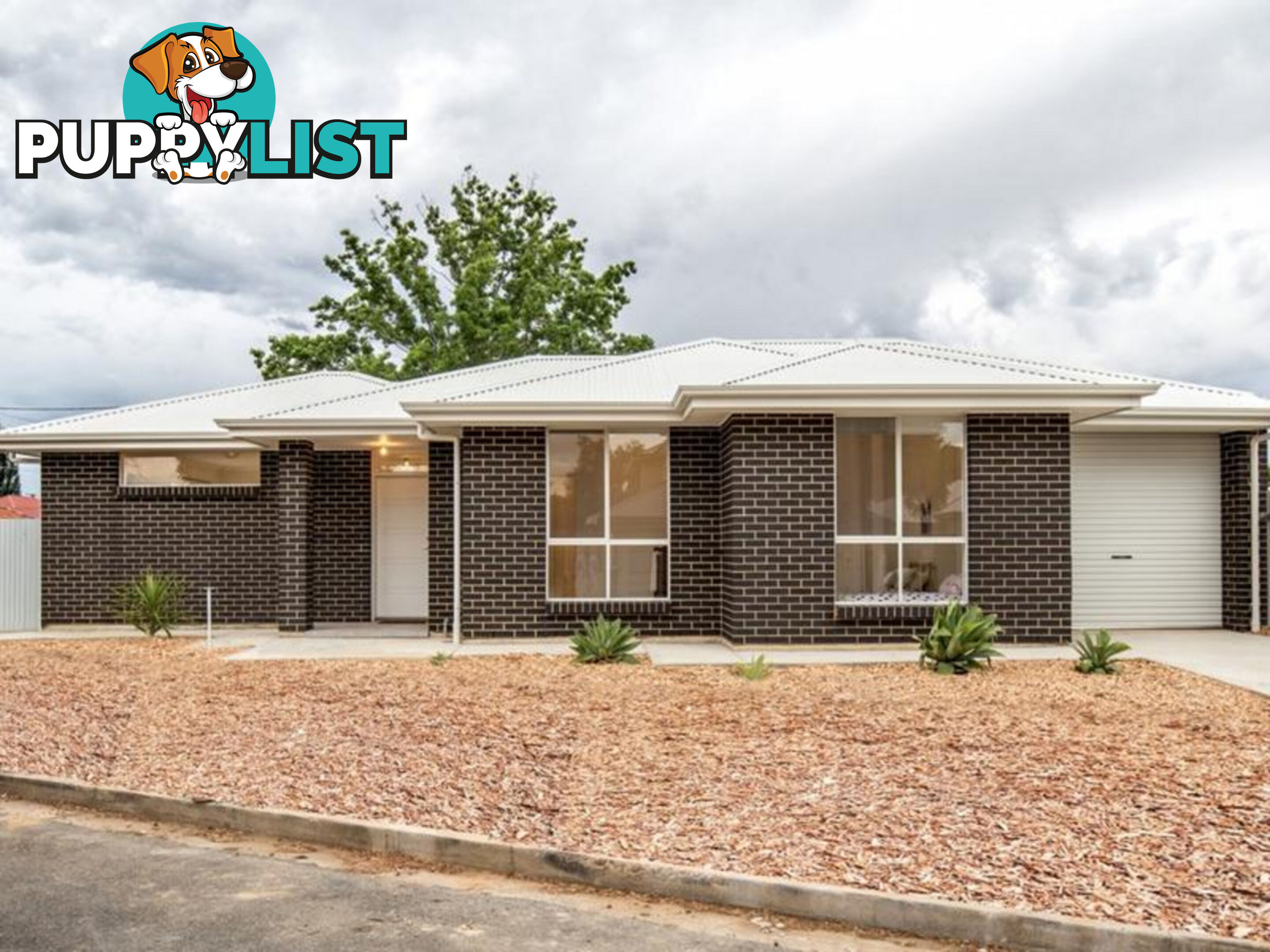 20 Itala Avenue CROYDON PARK SA 5008