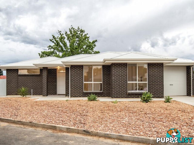 20 Itala Avenue CROYDON PARK SA 5008