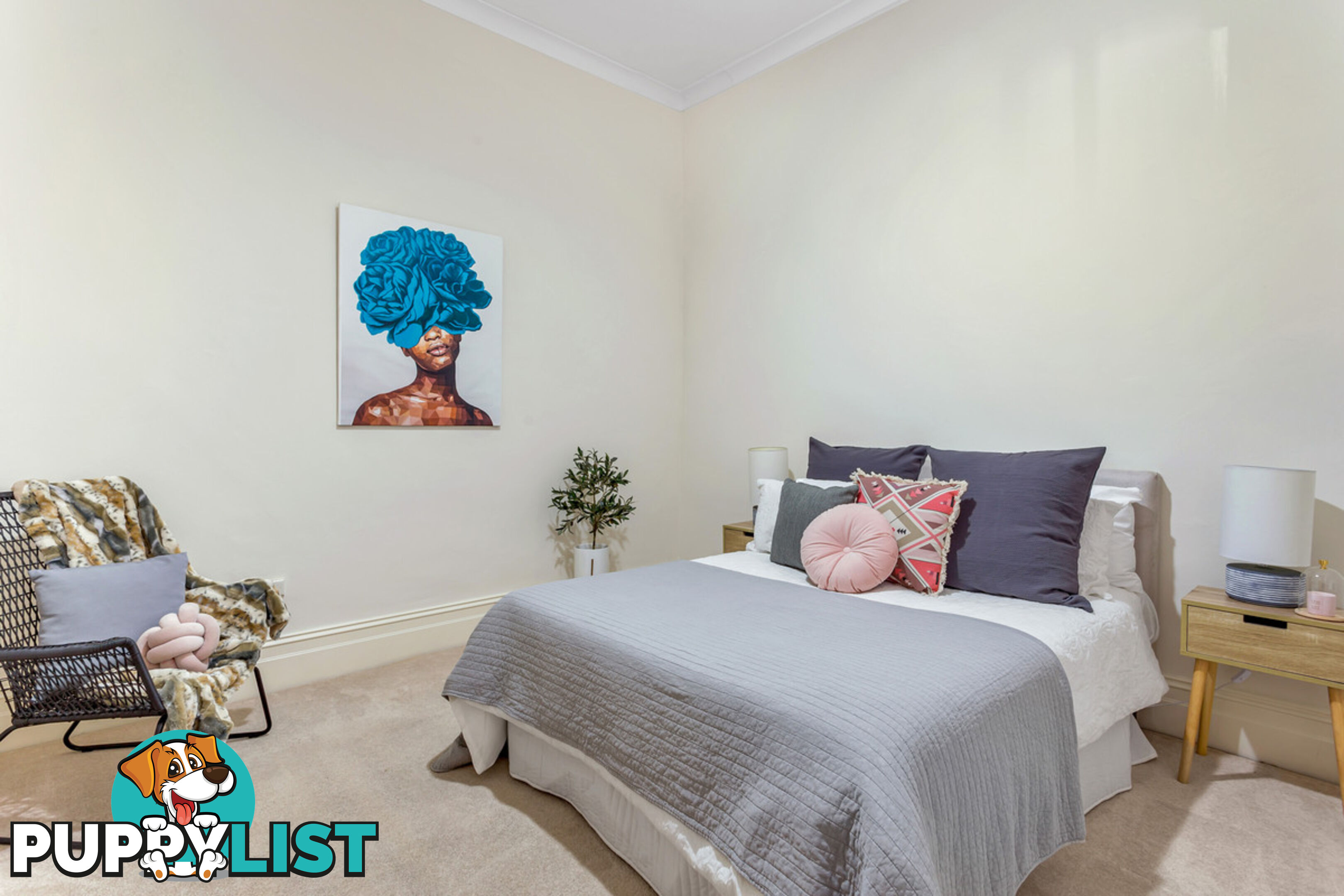 7 Clarence Street HYDE PARK SA 5061