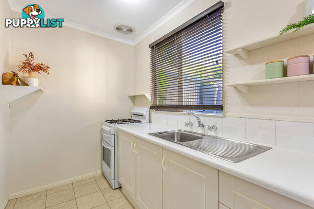 7 Clarence Street HYDE PARK SA 5061