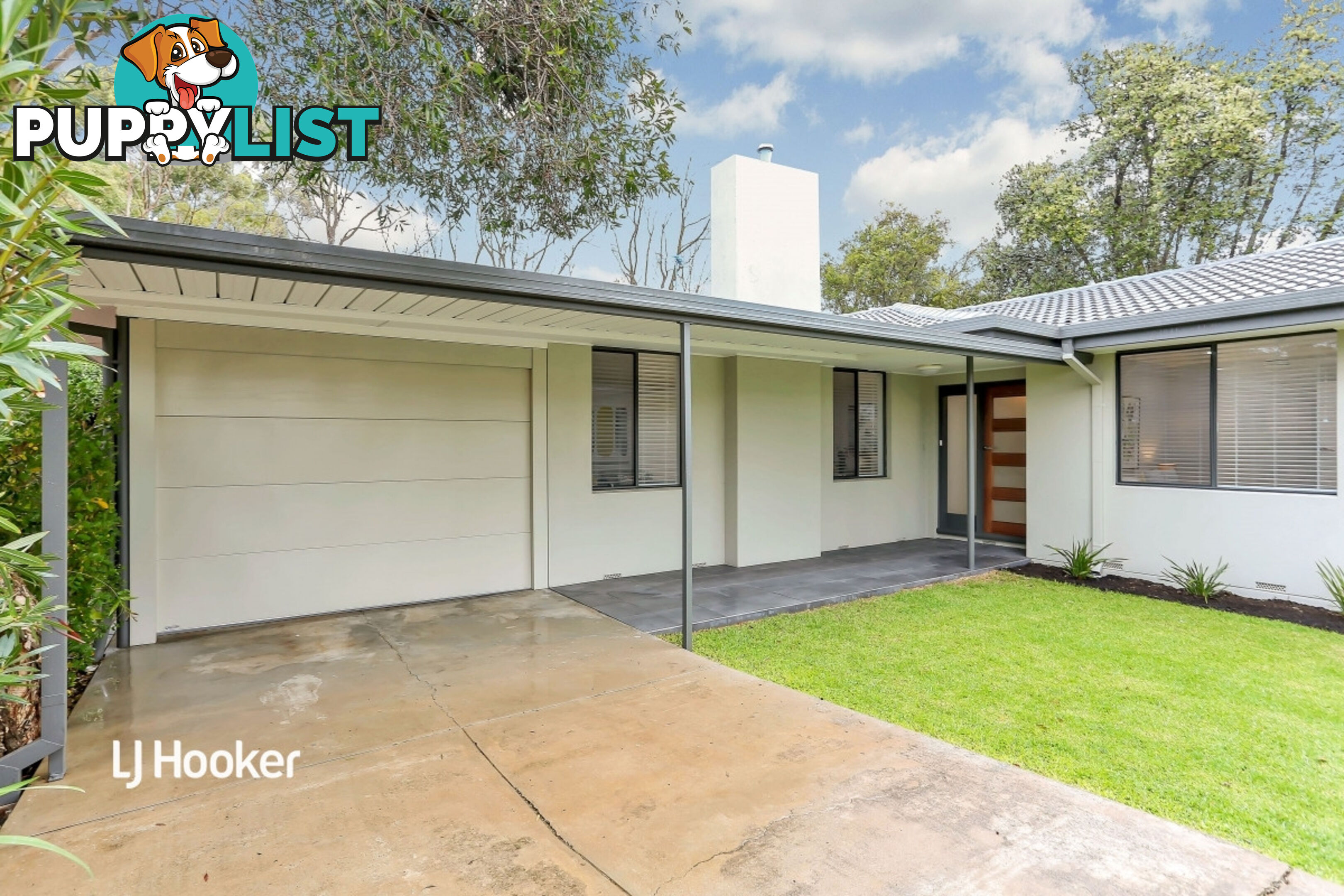 19 Mintanta Drive BANKSIA PARK SA 5091