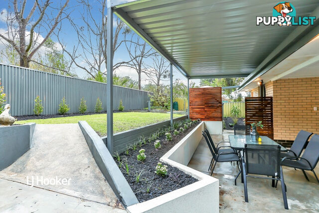 19 Mintanta Drive BANKSIA PARK SA 5091